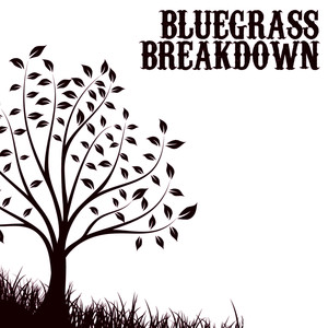 Bluegrass Breakdown