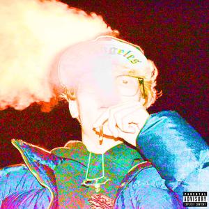 USE ZE MAM (feat. Yung Vibe) (Explicit)