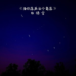 陪你落在每个角落