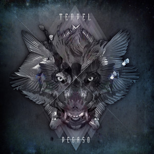 Brillo de Orion (Acústico)