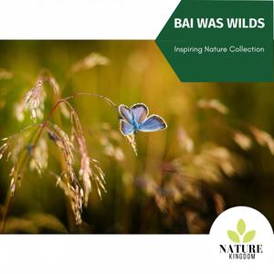 Bai Was Wilds - Inspiring Nature Collection