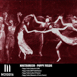 Poppy Fields (Lethal M Remix)