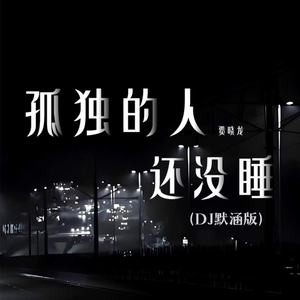 孤独的人还没睡 (DJ默涵版)