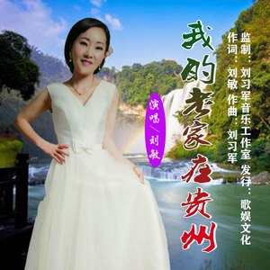 我的老家在贵州 (DJ版)