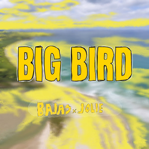 Big Bird 2023 (Explicit)