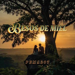 Besos de Miel (feat. Nytien) (Explicit)