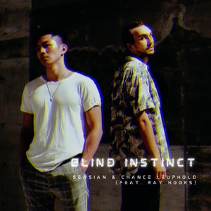 Blind Instinct (feat. Ray Hooks)