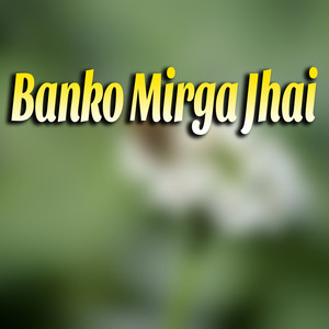 Ban Ko Mirga Jhai