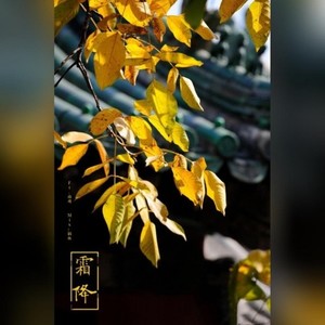 霜降