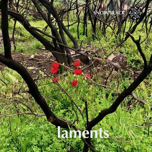 Laments