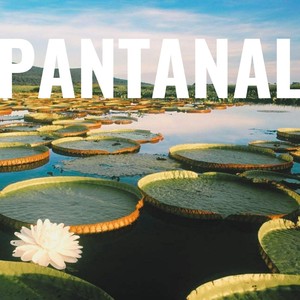 Pantanal (feat. Gabriel Sater)