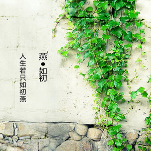 自由的骆驼 (Demo)