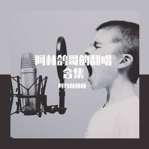 陪我冒险封面