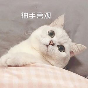 意浓