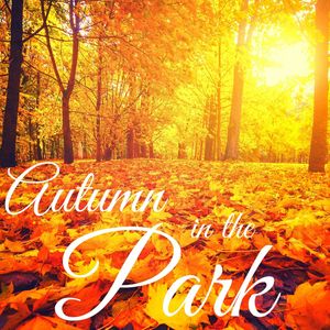 Autumn in the Park