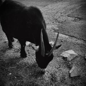 palms defeated (Explicit)