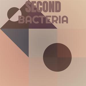 Second Bacteria