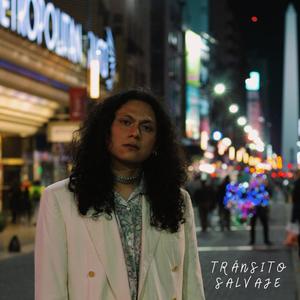 Tránsito Salvaje