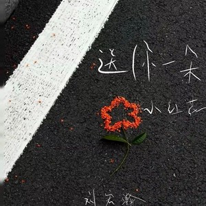 送你一朵小红花