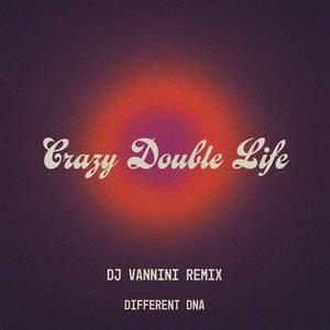 Crazy Double Life remix