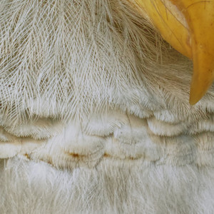 We Would Never Have Gone out If We Had Not Intended to Return