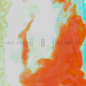 Catch A Feeling (Explicit)