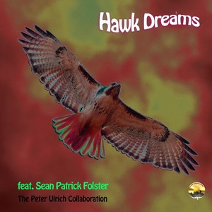 Hawk Dreams (feat. Sean Patrick Folster)