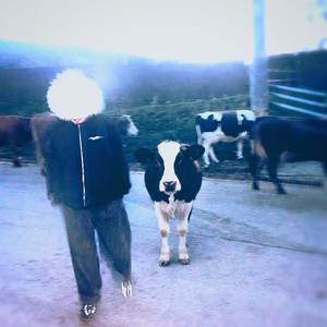 По рофлу (Explicit)