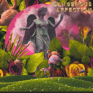 Dangerous Affection (feat. Rick Racks) (Explicit)