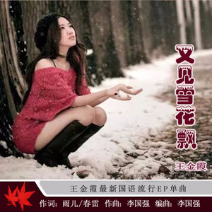 王金霞 - 又见雪花飘 - 王金霞