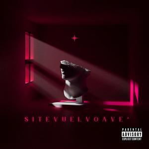 sitevuelv0ave' (Explicit)