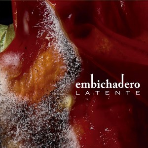 Grito Santiagueño (feat. Marcelo Moguilevsky)