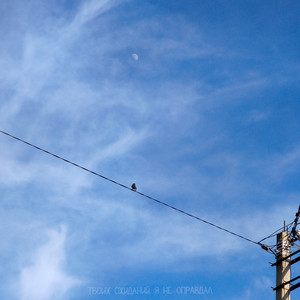 Твоих ожиданий я не оправдал