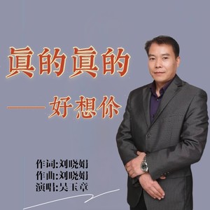 真的真的好想你