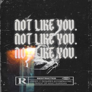 Not Like You (Explicit)