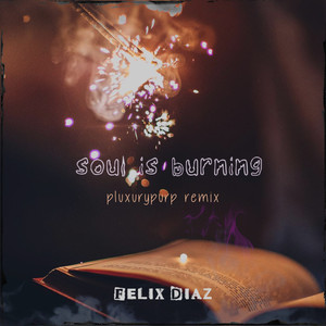 Soul Is Burning (Remix) (Remix)