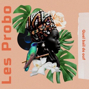 Les Probo - Fouinguilanga