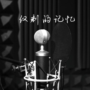 仅剩的记忆