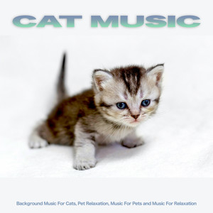 Cat Music: Background Music For Cats, Pet Relaxation, Music For Pets and Music For Relaxation