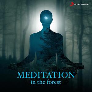 Meditation In The Forest