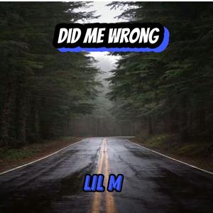 Did Me Wrong (Explicit)