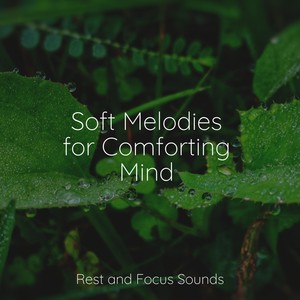 Soft Melodies for Comforting Mind