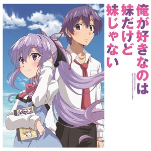 Secret Story (TV Size)