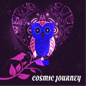 cosmic journey