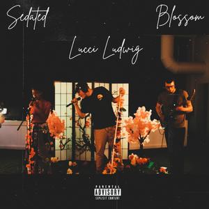 Sedated (feat. Samurae & Faded & Jaded) (Blossom Sessions Edition) (Explicit)