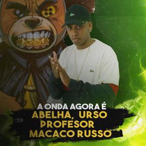 A ONDA AGORA É ABELHA URSO PROFESSOR MACACO RUSSO