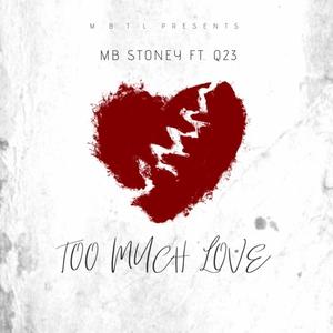 Too Much Love (feat. Q23) (Explicit)