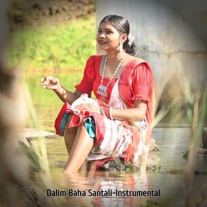 Dalim Baha Santali-Instrumental