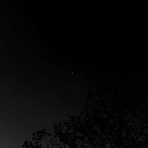 pessimistic paranoia