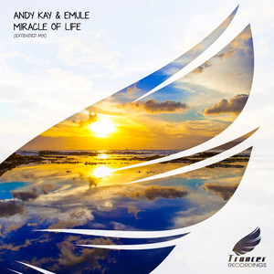 Miracle of Life (Extended Mix)